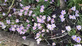 20170303_145754.webp