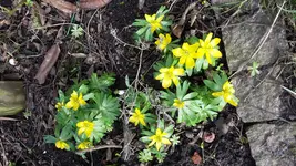 20170303_145731.jpg