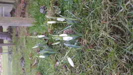 20170221_170108.jpg