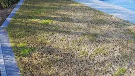 20170227_093345.webp