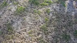 20170227_093421.webp