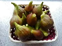 DSC02702.webp