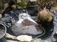 Teich-neu.webp