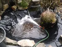 Teich-neu2.webp