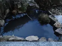 Teich-neu4.webp