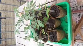 20170308_154637.jpg