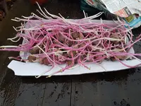 Kartoffeln.webp