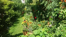 20160807_114554_resized.webp
