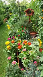 20160727_163227.webp