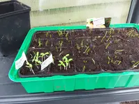 20170310_140615.jpg