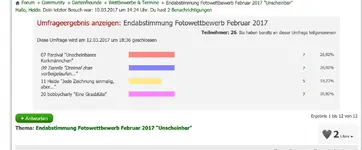 Wettbewerb.jpg