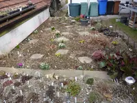 Schattenbeet_11.03.2017.jpg