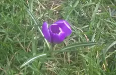 WP_20170311_009.webp
