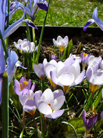 P1130240.webp