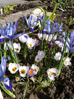 P1130242.webp