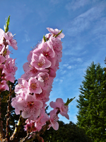 P1130248.webp