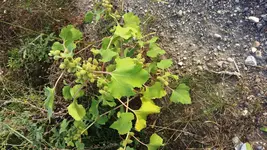 20160918_173651.webp