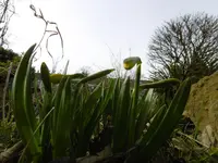 P1000275.webp