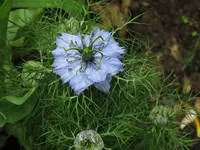 IMG_0673v (2).webp