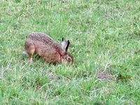 IMG_1429bt.webp
