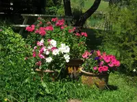 IMG_1440 v (2).webp