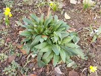 DSCN0475.webp