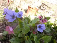 P1280714.webp