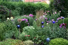 Juli0115.webp