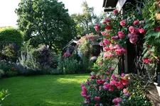 Juni3015.webp