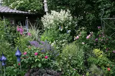 Juni8816d.webp