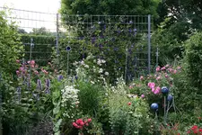 Juni8816wPG.webp