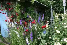 Juni8816xzPG.webp