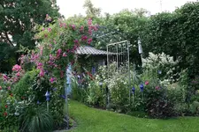 Juni9016ePG.webp