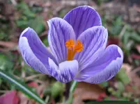 008_1067x800.webp