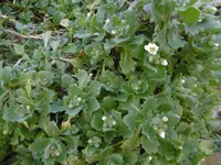 P1000311.webp