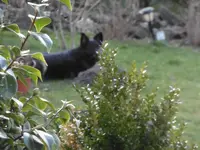 P1000316.webp