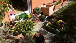 20170312_130408.webp