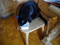 IMGP4659.webp