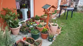 20160313_133850.webp