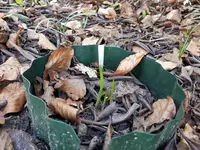 20170311_140519.webp