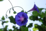 DSC_7973.jpg