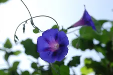 DSC_7973.webp