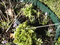 BILD6266.webp