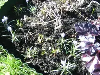 BILD6267.webp