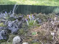 BILD6269.webp