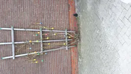 IMG-20170314-WA0004.webp