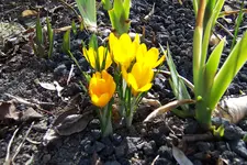 100_3618.webp