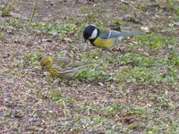 P1280840.webp