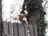 P1280921.webp