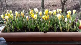 20170315_100311.jpg